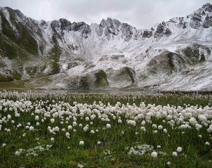 Notre zone d'activité pour ce service Voyage culturel Cinq Terres 2026 avec autocar pension complète visites guidées et accompagnement