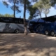Autocars Laurent Caizza à Toulon